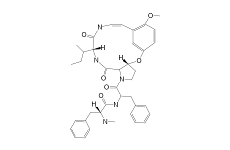 NUMMULARINE-H