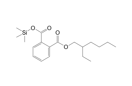 phthalic acid mono-2-ethylhexylester, 1TMS