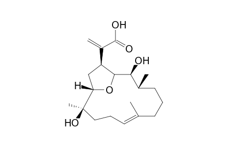 13,14-Eupalmeroic acid