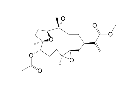 SINULAFLEXIOLIDE_E