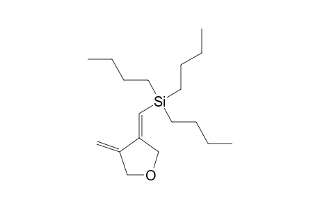 3-METHYLENE-4-TRIETHYL-SILYLMETHYLENE-TETRAHYDROFURAN