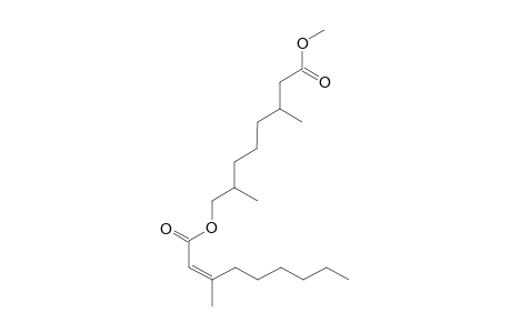 OFFICINOIC_ACID_A_METHYLESTER