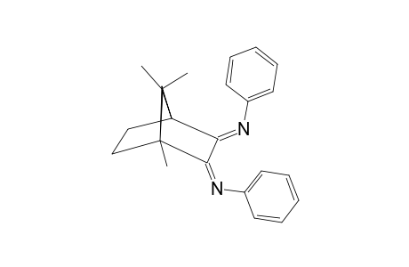 (Z,E)-N,N'-DIPHENYL-2,3-BIS-(IMINO)-CAMPHANE