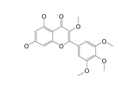 5,7-DIHYDROXY-3,3',4',5'-TETRAMETHOXY-FLAVONOL