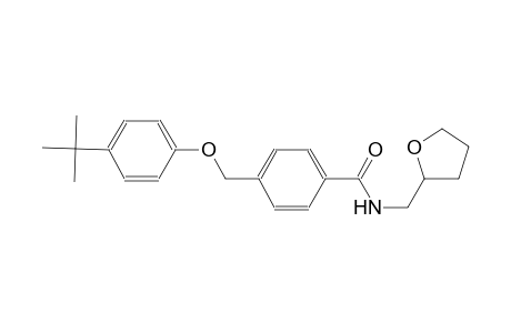 4-[(4-tert-butylphenoxy)methyl]-N-(tetrahydro-2-furanylmethyl)benzamide