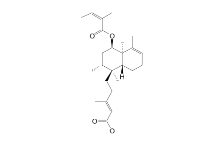 6-BETA-ANGELOYLOXYKOLAVENIC-ACID