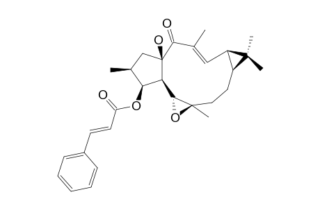 (+)-(12-E,2-S,3-S,4-R,5-R,6-R,9-S,11-S,15-R)-3-CINNAMOYLOXY-5,6-EPOXYLATHYR-12-EN-15-OL-14-ONE