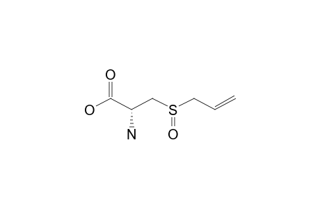 ALLIIN;(+)-S-ALLYL-L-CYSTEINE-SULFOXIDE