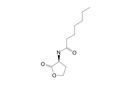 (+/-)-N-HEPTANOYLHOMOSERINE_LACTONE