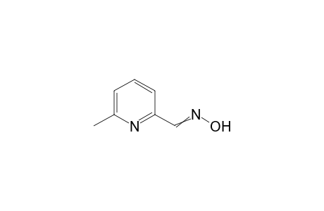 6-Methylpyridine-2-carbaldehyde oxime