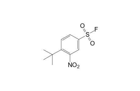 4-tert-butyl-3-nitrobenzenesulfonyl fluoride