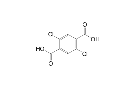 2,5-Dichloroterephthalic acid