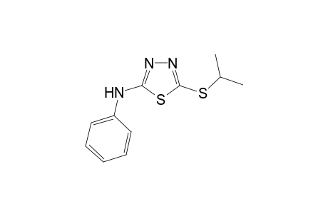 5-isopropylsulfanyl-N-phenyl-1,3,4-thiadiazol-2-amine