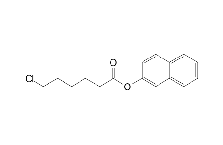 6-Chlorohexanoic acid, 2-naphthyl ester