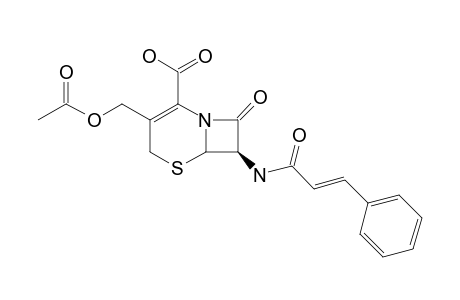 7-BETA-CINNAMOYLAMINO-3-ACETOXYMETHYL-CEPHALOSPORINE