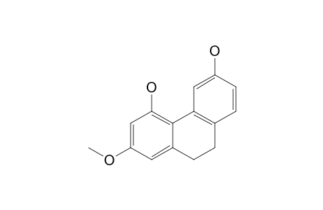 CANNITHRENE-#1