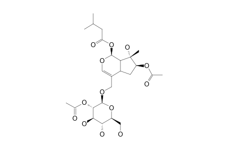 VIBRUTINOSIDE-I