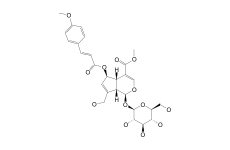 (E)-6-O-PARA-METHOXY-CINNAMOYL-SCANDOSIDE-METHYLESTER