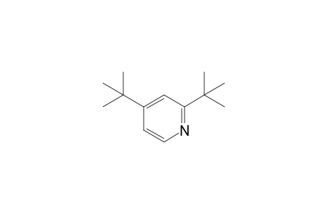 2,4-DI-tert-BUTYLPYRIDINE