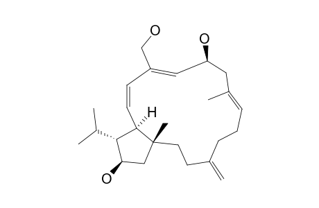 KOBIIN