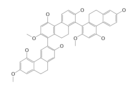 MONBARBATAIN_D