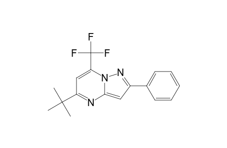 7-TRIFLUOROMETHYL-2-PHENYL-5-TERT.-BUTYL-PYRAZOLO-[1,5-A]-PYRIMIDINE