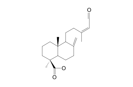 15-OXOLABDA-8(17),13Z-DIEN-19-OIC_ACID