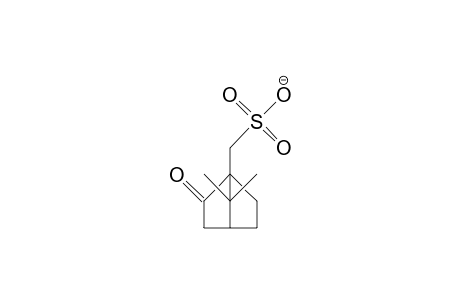 DL-10-Camphorsulfonate anion