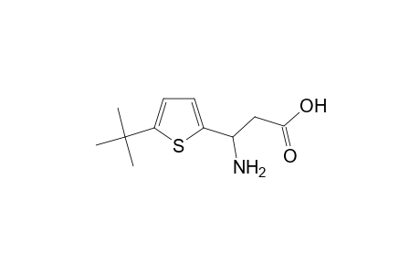 beta-AMINO-5-tert-BUTYL-2-THIOPHENEPROPIONIC ACID