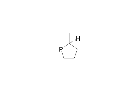 CIS-2-METHYLPHOSPHOLANE