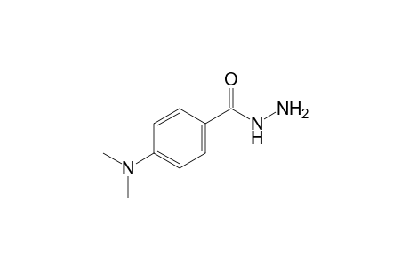 p-(dimethylamino)benzoic acid, hydrazide