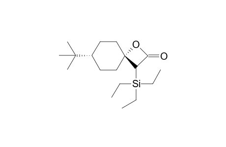 rel-(4S,7R)-7-tert-Butyl-3-(triethylsilyl)-1-oxaspiro[3,5]nonan-2-one