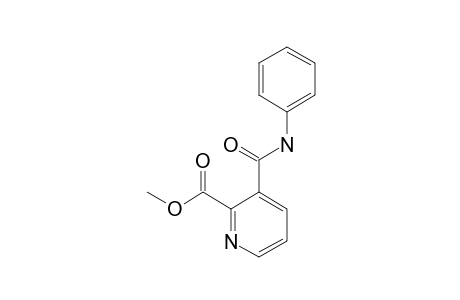 3-[(PHENYLAMINO)-CARBONYL]-2-PYRIDINE-CARBOXYLIC-ACID-METHYLESTER