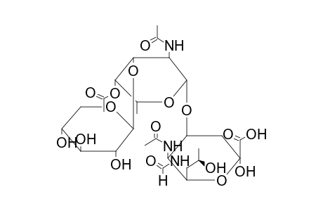 TRISACCHARIDE 2 (FROM PSEUDOMONAS AERUGINOSA O5)