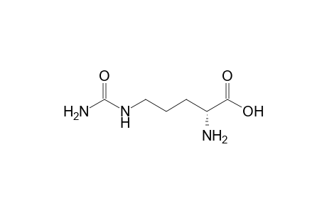 D-Citrulline