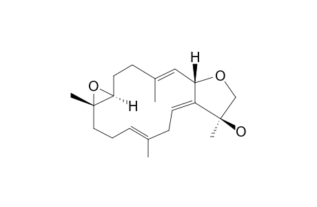 SARCOPHYTON-B