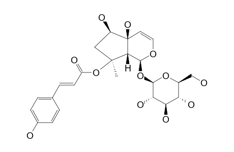 8-O-PARACOUMAROYLHARPAGIDE