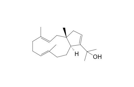 Palominol