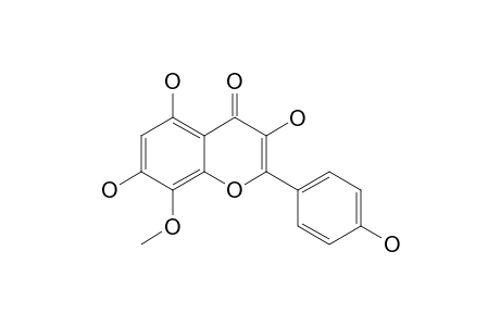 SEXANGULARETIN;SX;8-METHOXYKAEMPFEROL;HERBACETIN_8-METHYLETHER