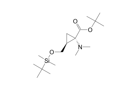 1,1-DIMETHYLETHYL-TRANS-1-DIMETHYLAMINE-2-[(2,2-DIMETHYLETHYL)-DIMETHYLSILYLOXYMETHYL]-CYCLOPROPANECARBOXYALTE