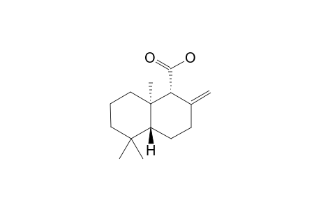 (+/-)-ALBICANIC-ACID