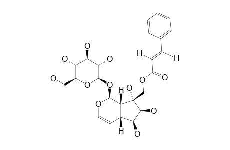 Globularinin