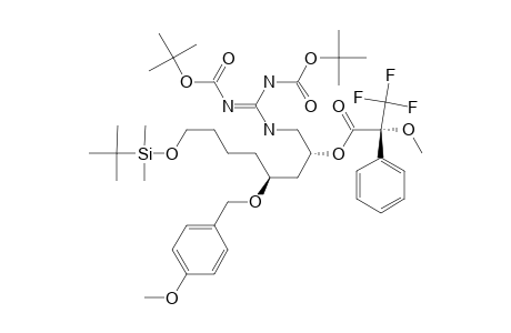 #II;(+)-(2S,4R)-N,N'-BIS-(TERT.-BUTOXYCARBONYL)-8-(TERT.-BUTYLDIMETHYLSILOXY)-4-(PARA-METHOXYBENZYLOXY)-2-[(S)-METHOXY-TRIFLUOROMETHYLPHENYLACETOXY]-GUANIDINE