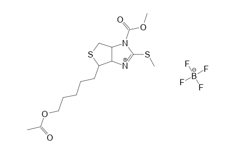 1'-N-CARBOMETHOXY-2'-THIOBIOTINYL-ACETATE-2'-S-METHYL-FLUOROBORATE