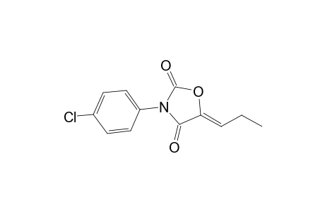 (5Z)-5-Propylene-N-(p-chlorophenyl)-1,3-oxazolidine-2,4-dione