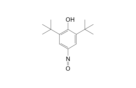 2,6-DI-tert-BUTYL-4-NITROSOPHENOL