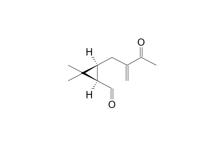 (1S,3R)-1-FORMYL-2,2-DIMETHYL-3-(2-METHYLENE-3-OXOBUTYL)CYCLOPROPANE