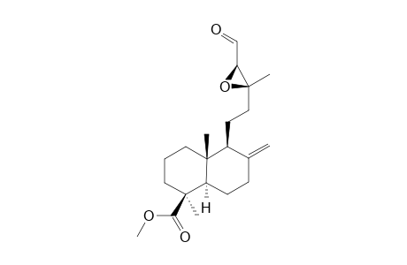 METHYL-13-XI,14-XI-EPOXY-15-OXO-LABDEN-19-OATE;DIASTEREOMER-#1