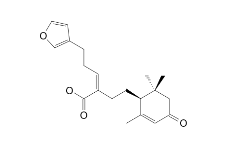 HEBEMACROPHYLLIDE-17-OIC-ACID