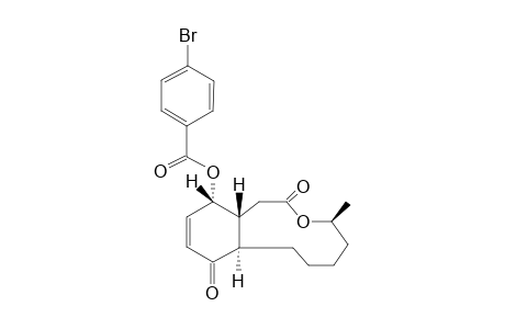 SCH-642305-PARA-BrOMOBENZOATE